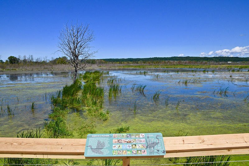 Arcadia Marsh Nature Trail